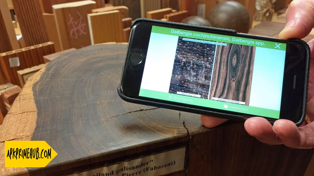 Best free Wood Identification App